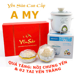 Yến Sào A My 100G + Tai Yến Huyết 10G + Tai Yến Sào Thiên Nhiên 10G