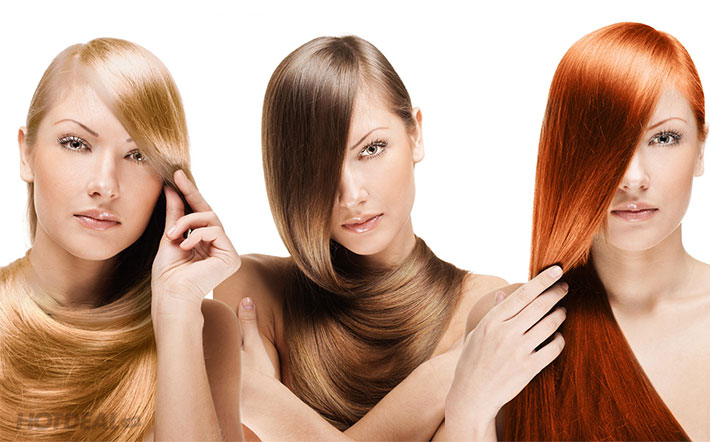 My Trang Hair Salon - Dịch Vụ: Cắt, Gội, Hấp Phục Hồi, Nhuộm Các Màu, Mặt Nạ Vàng Collagen Nguyên Chất, Sấy